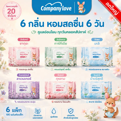 Company Love Baby Wipes 湿巾 大包装 500片 温和配方 婴儿清洁湿巾 温和配方 男童 女童 新生儿 Gardenia wipes