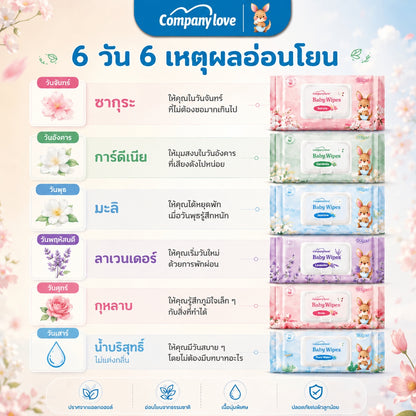 Company Love Baby Wipes 湿巾 大包装 500片 温和配方 婴儿清洁湿巾 温和配方 男童 女童 新生儿 Gardenia wipes