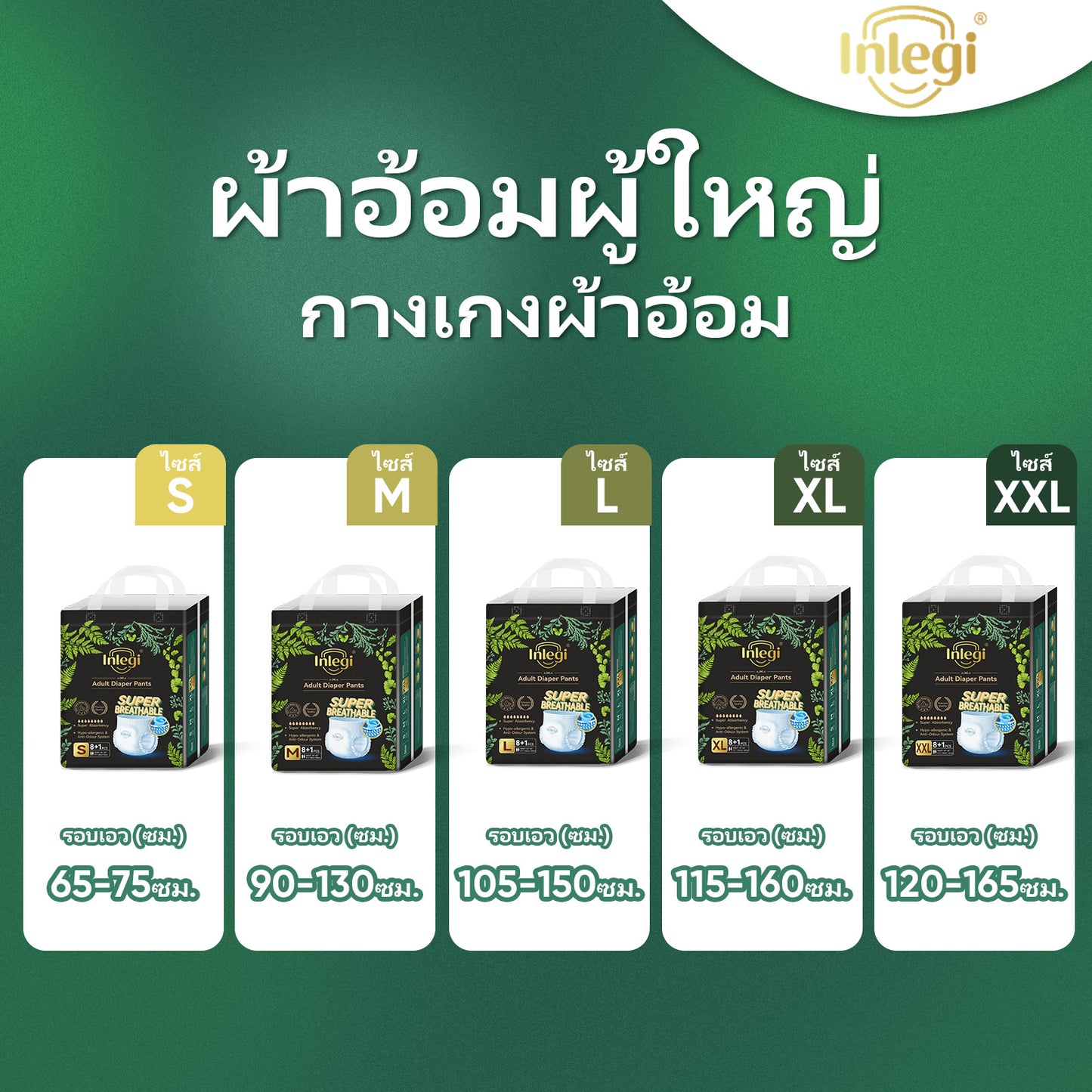 Company Love | INLEGI ผ้าอ้อมผู้ใหญ่แบบกางเกง – ซึมซับสูงถึง 1,500 มล. ป้องกันการรั่วซึม มีไซส์ S-2XL (9 ชิ้นต่อแพ็ค) สวมใส่ทั้งชายและหญิง ใช้ป้องกันในชีวิตประจำวัน แบบกางเกงใส่สบาย